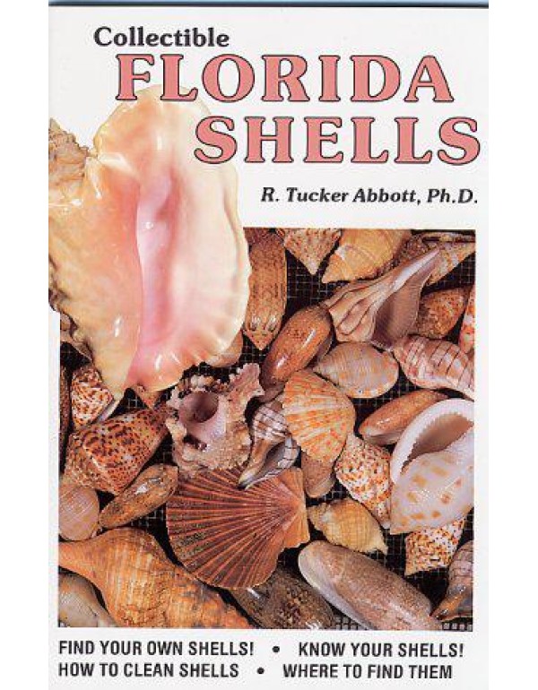 Collectible Florida Shells