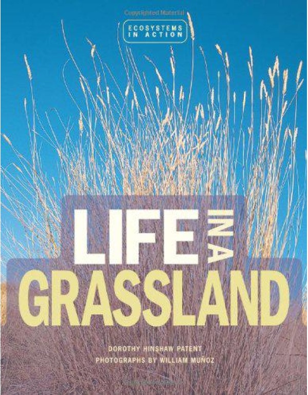 Life in a Grassland (Ecoystems in Action)