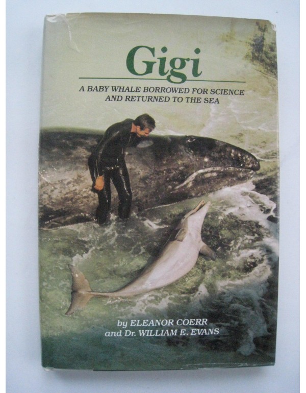 Gigi, a baby whale borrowed for science and return...