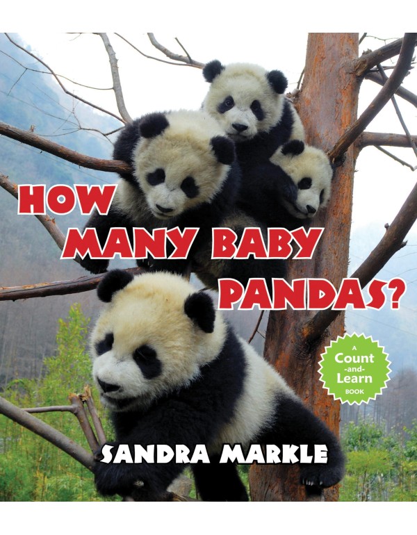 How Many Baby Pandas?