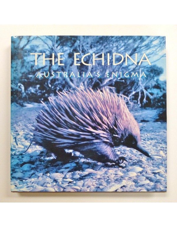 Echidna