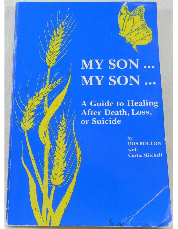 My Son . . . My Son . . .: A Guide to Healing Afte...