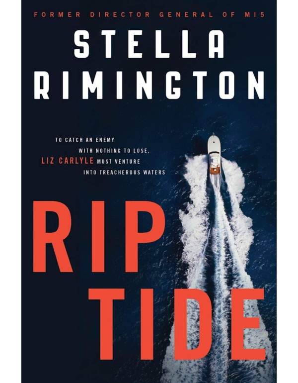 Rip Tide: A Novel